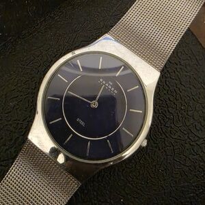 Skagen STEEL  Silver and Dark Blue Mesh Watch